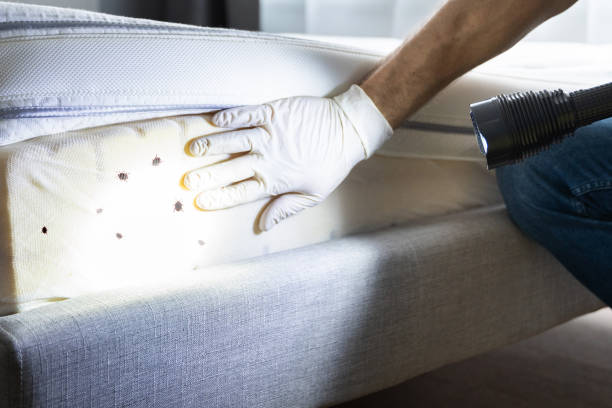 Pest Control for Restaurants in La Grange, KY